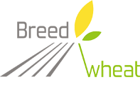 logo-breedwheat