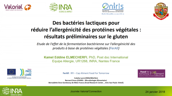 Des bactéries lactiques pour réduire l’allergénicité des protéines végétales : résultats préliminaires sur le gluten