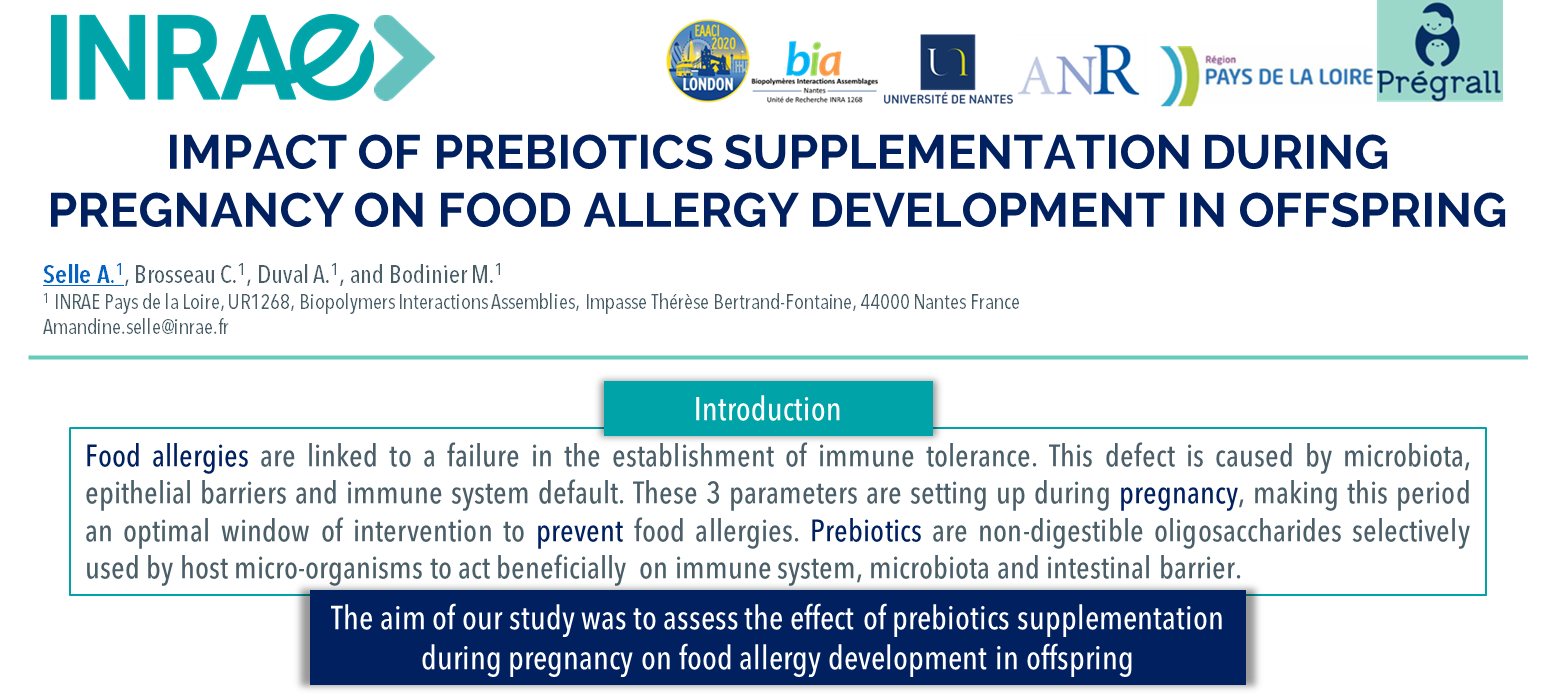 Impact de la supplémentation en prébiotiques pendant la grossesse sur le développement d'allergies alimentaires chez la progéniture